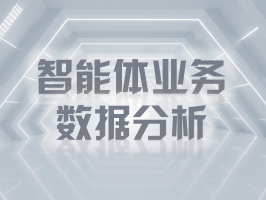 智能體業務數據分析：解鎖商業決策新範式
